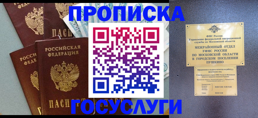 прописка гарантия в Новгородской области